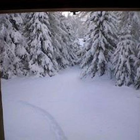 Chalet Gulas - La Punt-Chamues-Ch Dış mekan fotoğraf