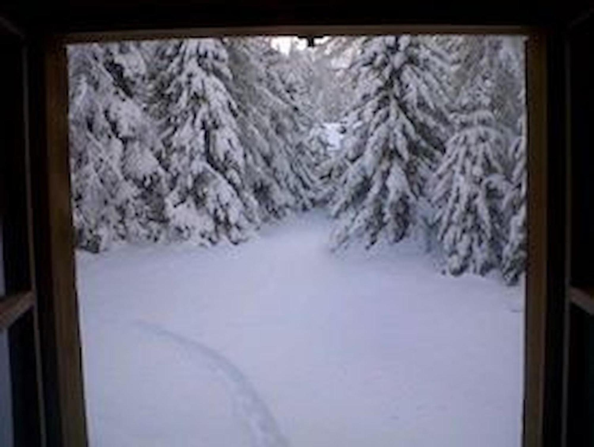 Chalet Gulas - La Punt-Chamues-Ch Dış mekan fotoğraf