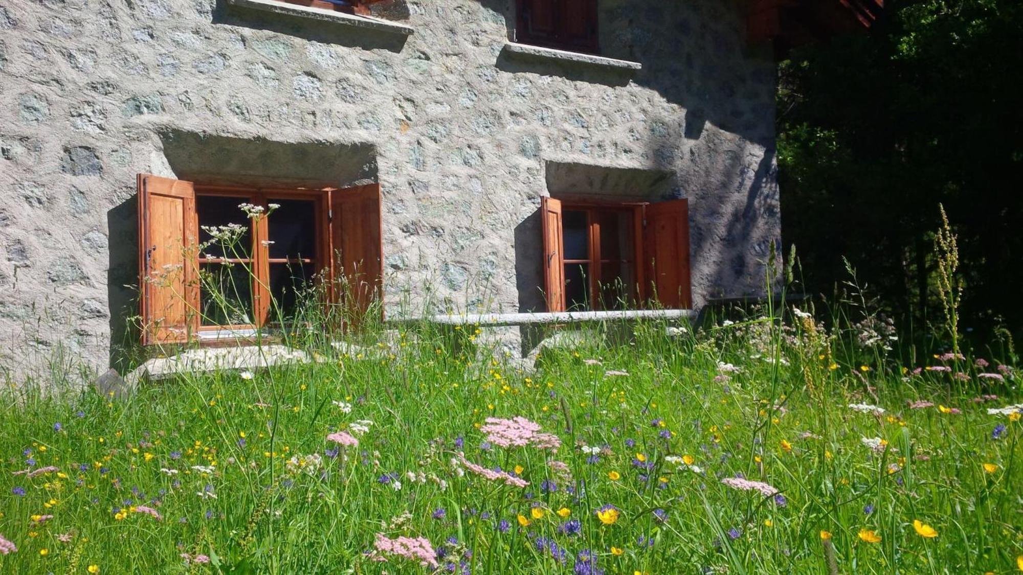 Chalet Gulas - La Punt-Chamues-Ch Dış mekan fotoğraf